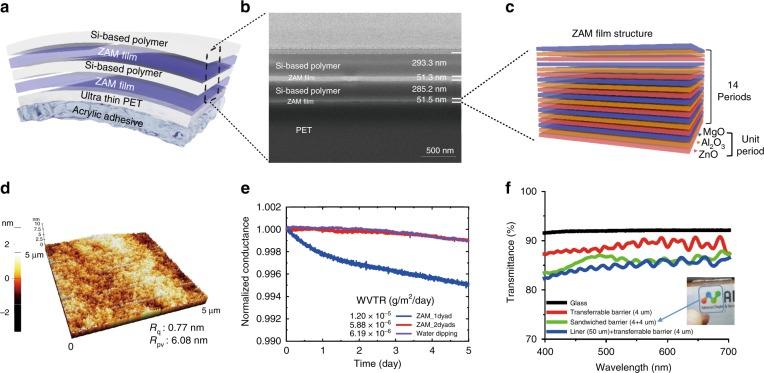 https://cdn.ncbi.nlm.nih.gov/pmc/blobs/6383/6900403/2f456c6ae646/41377_2019_221_Fig3_HTML.jpg