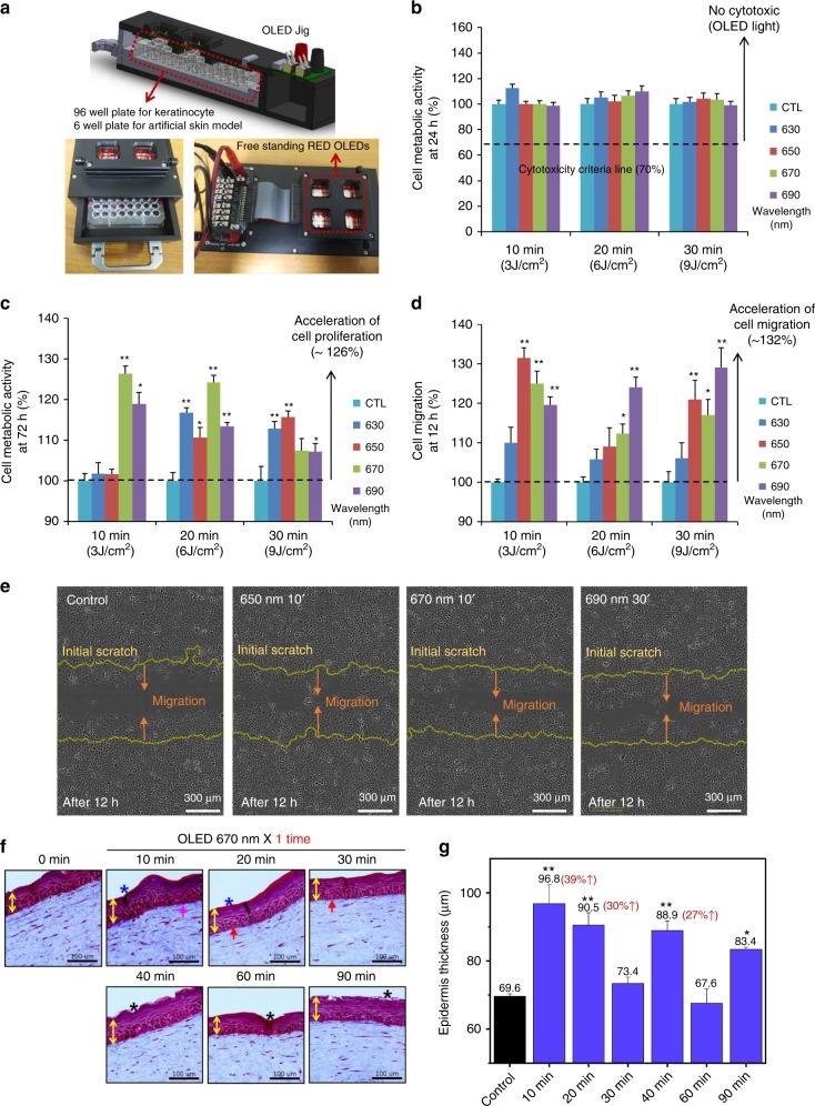 https://cdn.ncbi.nlm.nih.gov/pmc/blobs/6383/6900403/c4f6497a1cf8/41377_2019_221_Fig5_HTML.jpg