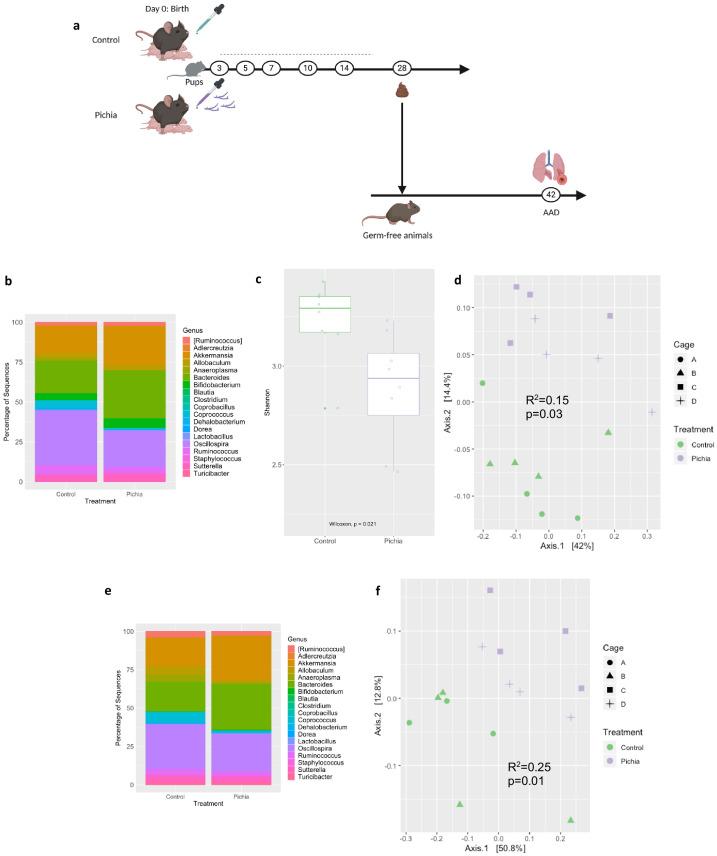 https://cdn.ncbi.nlm.nih.gov/pmc/blobs/6386/8075585/1085268e3da5/elife-67740-fig3-figsupp2.jpg