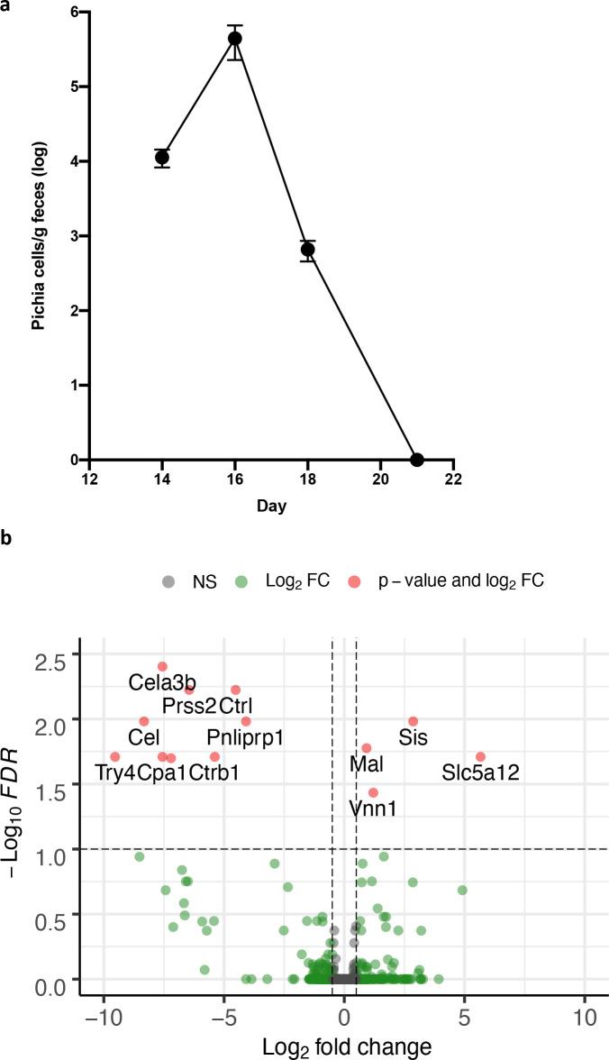 https://cdn.ncbi.nlm.nih.gov/pmc/blobs/6386/8075585/193351d532bc/elife-67740-fig3-figsupp1.jpg