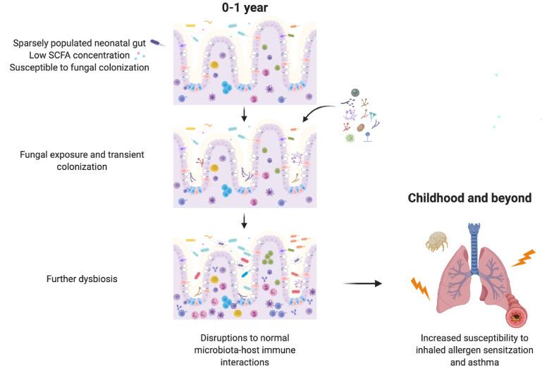 https://cdn.ncbi.nlm.nih.gov/pmc/blobs/6386/8075585/1a9c3dfe49a7/elife-67740-fig5.jpg
