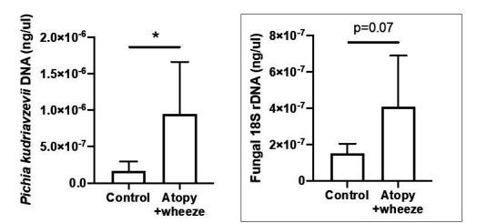 https://cdn.ncbi.nlm.nih.gov/pmc/blobs/6386/8075585/67c4bef7a80b/elife-67740-resp-fig1.jpg