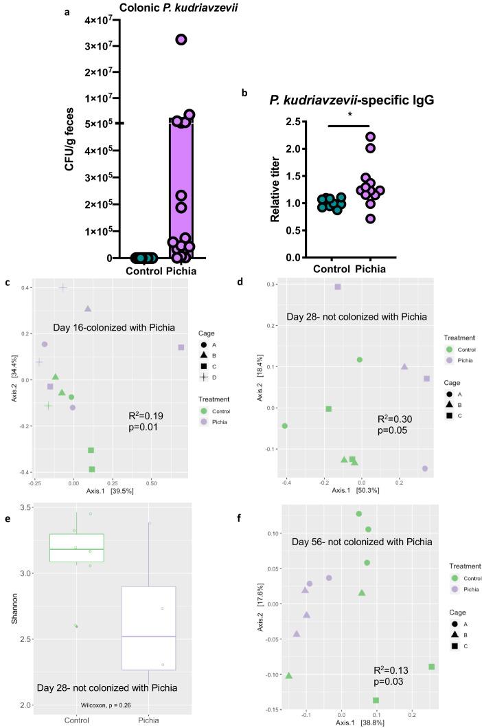 https://cdn.ncbi.nlm.nih.gov/pmc/blobs/6386/8075585/7962ce48e9c2/elife-67740-fig3.jpg
