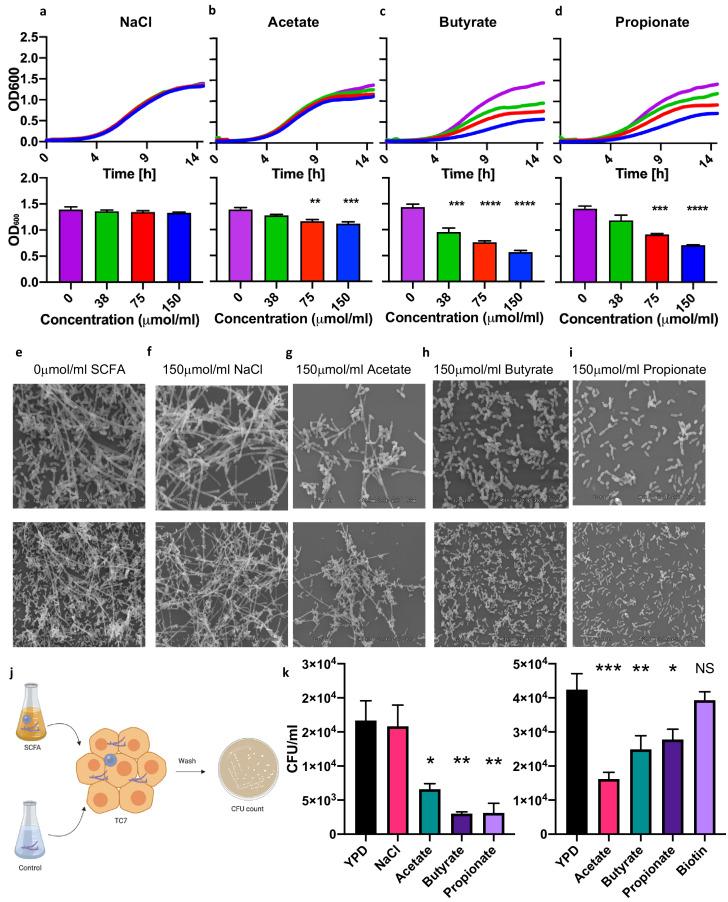 https://cdn.ncbi.nlm.nih.gov/pmc/blobs/6386/8075585/7e8b981fdfb1/elife-67740-fig4.jpg