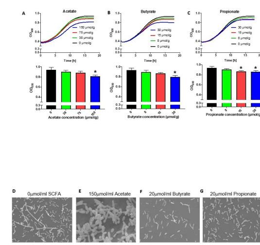 https://cdn.ncbi.nlm.nih.gov/pmc/blobs/6386/8075585/b7593097a9c1/elife-67740-resp-fig11.jpg