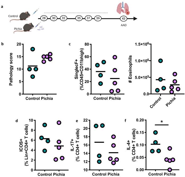 https://cdn.ncbi.nlm.nih.gov/pmc/blobs/6386/8075585/ce2f02c02fca/elife-67740-fig2-figsupp1.jpg