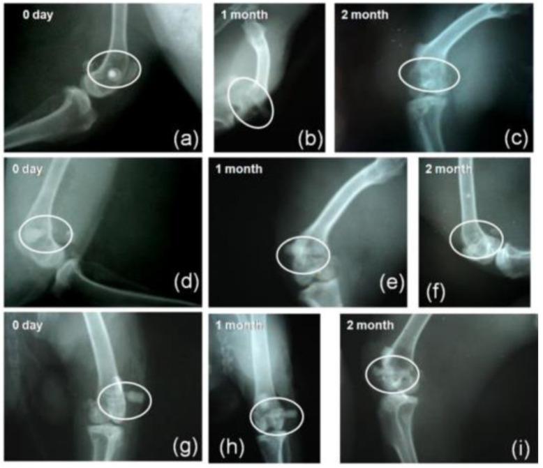 https://cdn.ncbi.nlm.nih.gov/pmc/blobs/638c/9656675/174f97829ba6/materials-15-07477-g010.jpg
