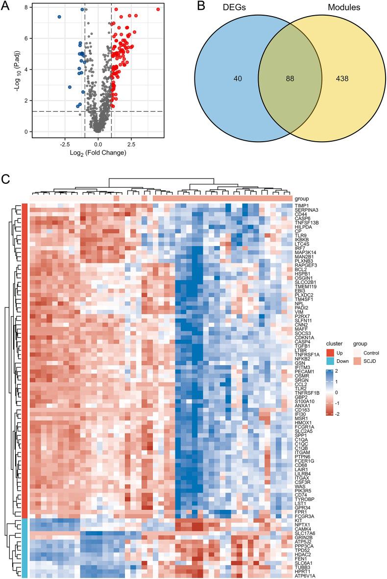 https://cdn.ncbi.nlm.nih.gov/pmc/blobs/638d/10465546/b2eb1dd67310/41598_2023_41066_Fig3_HTML.jpg
