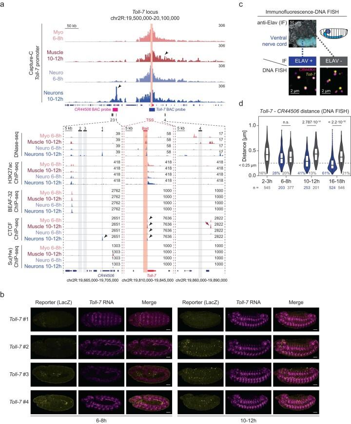 https://cdn.ncbi.nlm.nih.gov/pmc/blobs/638d/11018526/2afec4ae9013/41588_2024_1678_Fig9_ESM.jpg