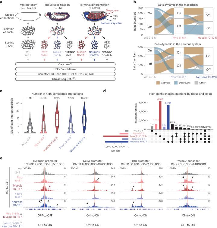 https://cdn.ncbi.nlm.nih.gov/pmc/blobs/638d/11018526/322298af23e4/41588_2024_1678_Fig1_HTML.jpg