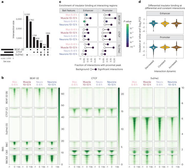 https://cdn.ncbi.nlm.nih.gov/pmc/blobs/638d/11018526/90f7b2b5806f/41588_2024_1678_Fig4_HTML.jpg