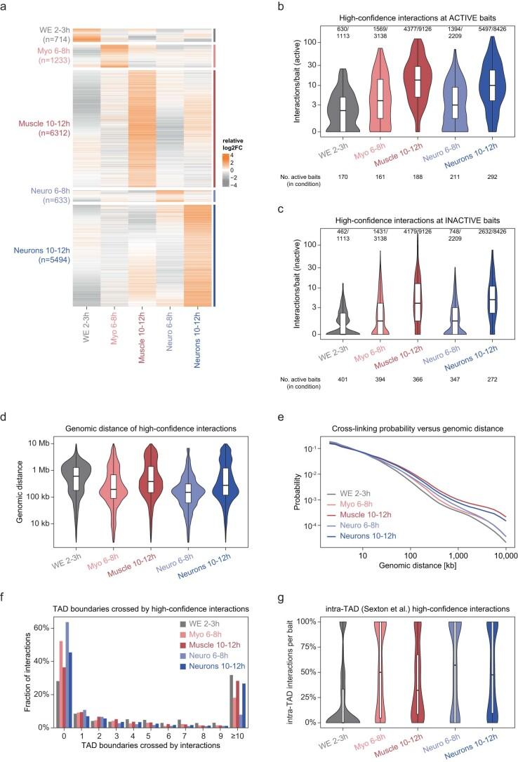 https://cdn.ncbi.nlm.nih.gov/pmc/blobs/638d/11018526/a364948553aa/41588_2024_1678_Fig6_ESM.jpg