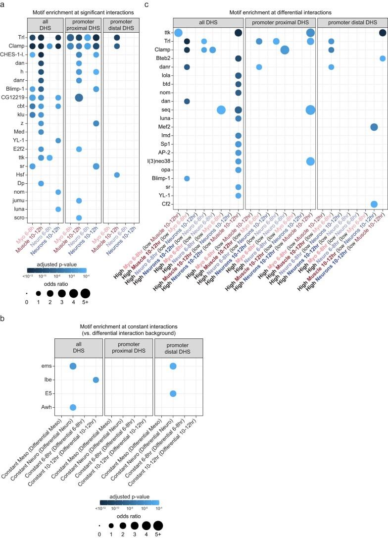 https://cdn.ncbi.nlm.nih.gov/pmc/blobs/638d/11018526/d716aae161be/41588_2024_1678_Fig8_ESM.jpg