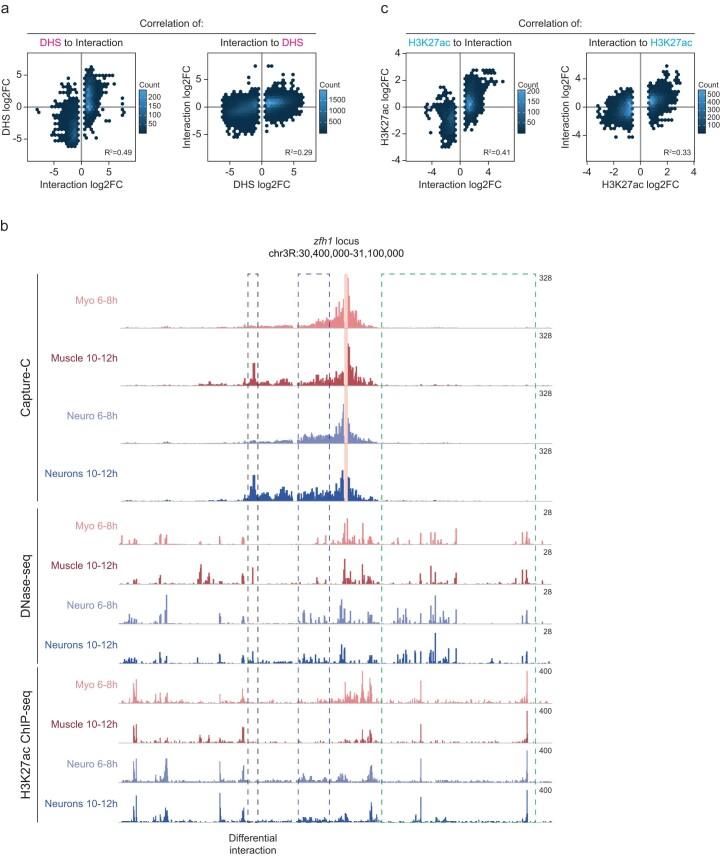 https://cdn.ncbi.nlm.nih.gov/pmc/blobs/638d/11018526/e81d5432fd36/41588_2024_1678_Fig7_ESM.jpg