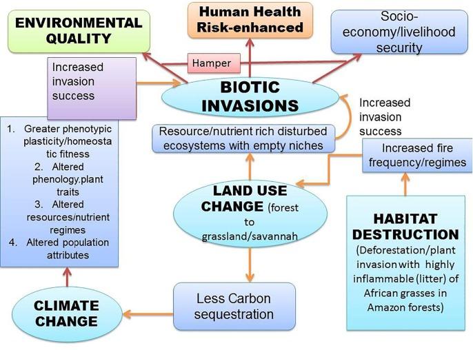 https://cdn.ncbi.nlm.nih.gov/pmc/blobs/638d/7194640/a75df146381d/gr1_lrg.jpg