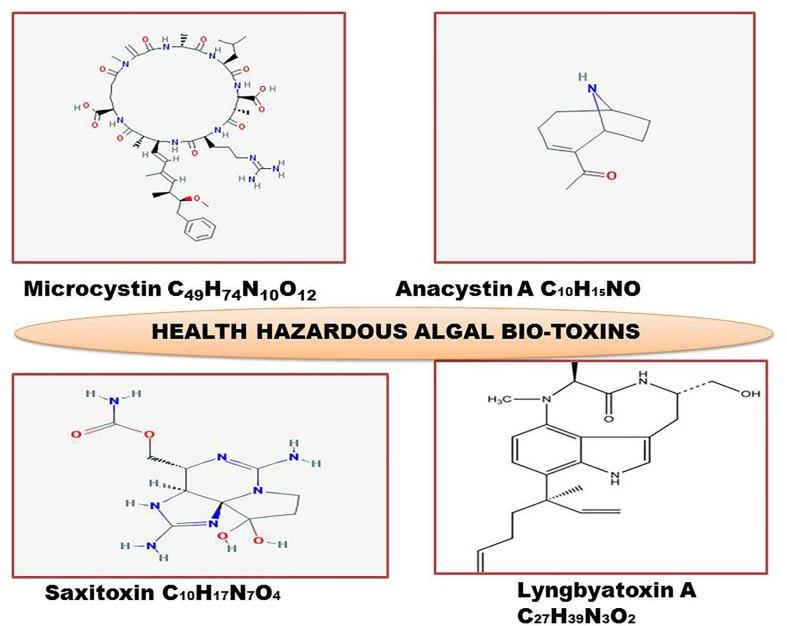 https://cdn.ncbi.nlm.nih.gov/pmc/blobs/638d/7194640/abb4abe20edf/gr4_lrg.jpg