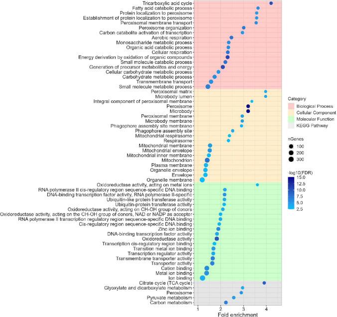 https://cdn.ncbi.nlm.nih.gov/pmc/blobs/638e/10589166/15e4b6c6aca8/253_2023_12749_Fig4_HTML.jpg