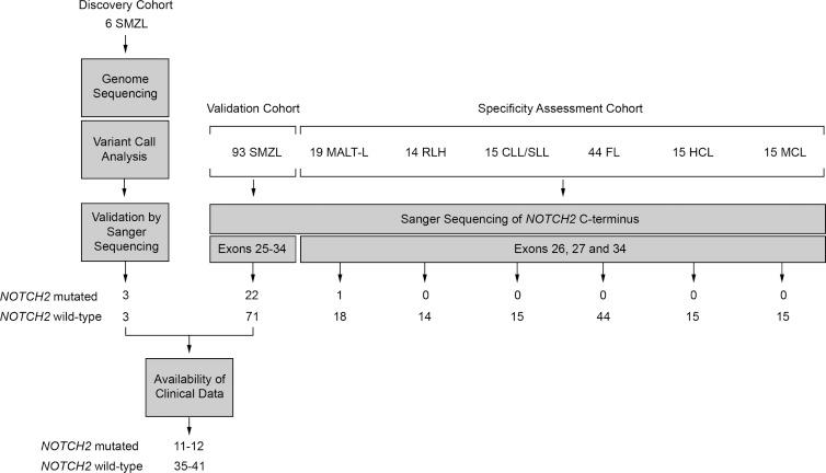 https://cdn.ncbi.nlm.nih.gov/pmc/blobs/638e/3428949/17b2be81345a/JEM_20120910_Fig3.jpg