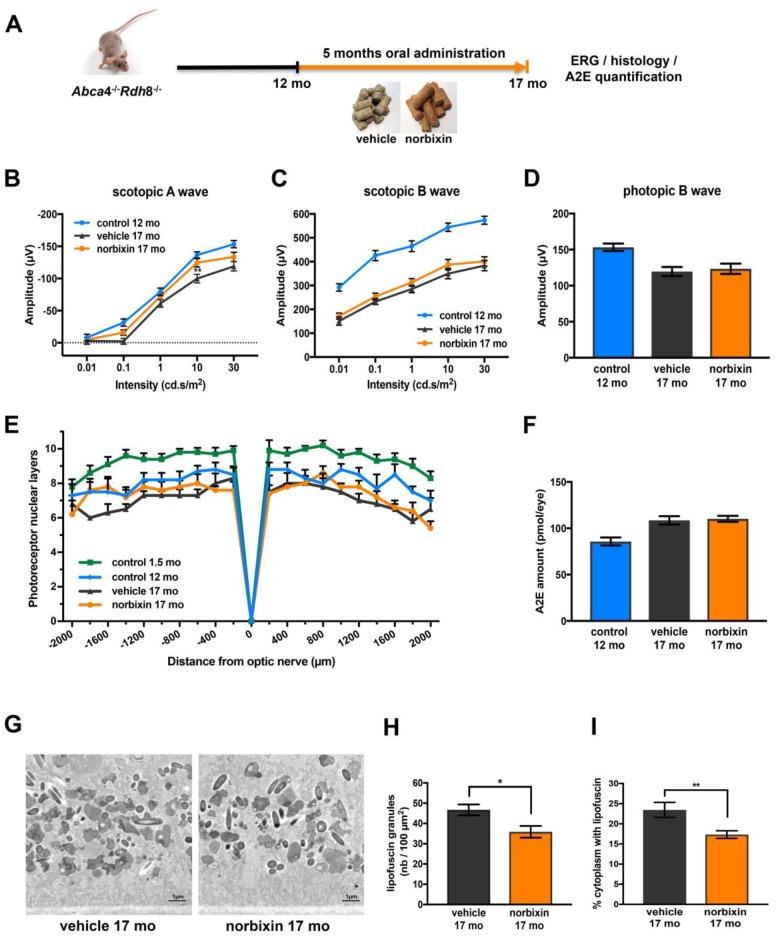 https://cdn.ncbi.nlm.nih.gov/pmc/blobs/638f/7185133/5538aa17fc5e/aging-12-103014-g006.jpg