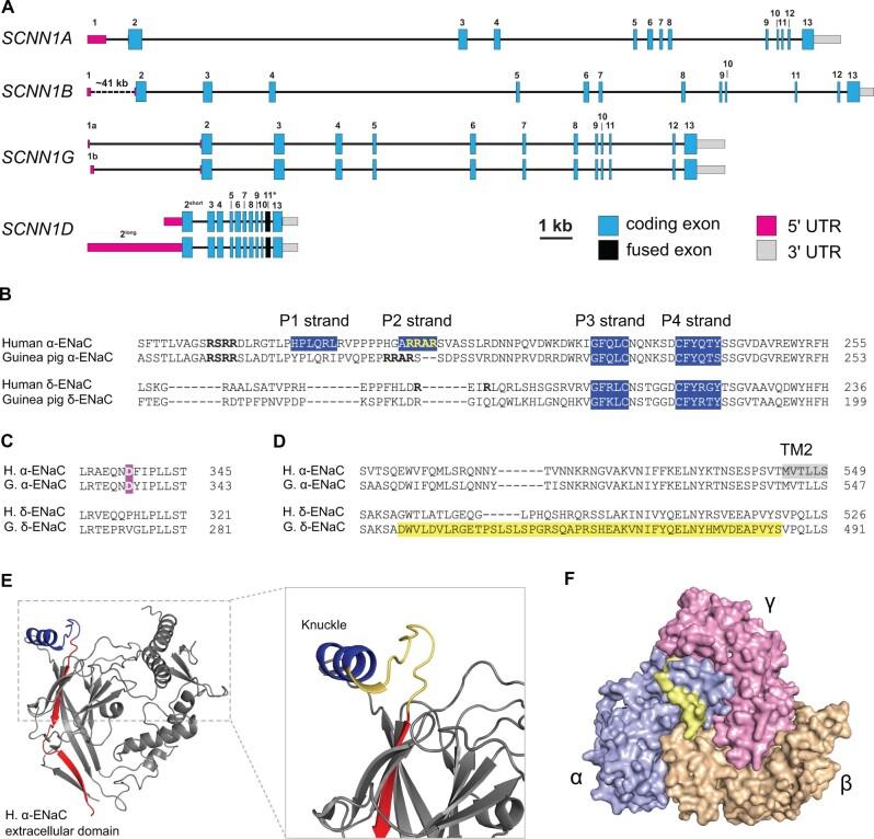 https://cdn.ncbi.nlm.nih.gov/pmc/blobs/638f/8662647/b4ca4eb61fb0/msab271f3.jpg