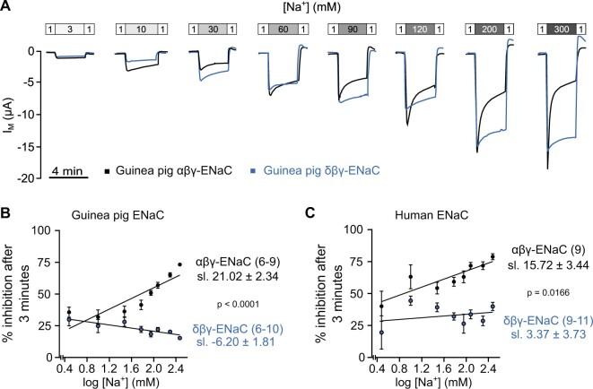 https://cdn.ncbi.nlm.nih.gov/pmc/blobs/638f/8662647/bef7f7e8ea33/msab271f8.jpg