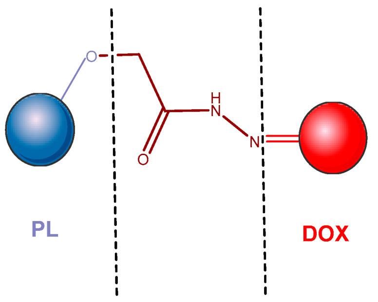https://cdn.ncbi.nlm.nih.gov/pmc/blobs/638f/9505808/55ef23c9acc6/pharmaceutics-14-01773-g012.jpg