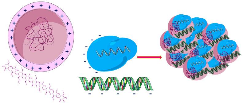 https://cdn.ncbi.nlm.nih.gov/pmc/blobs/638f/9505808/a26ea7211e8d/pharmaceutics-14-01773-g005.jpg