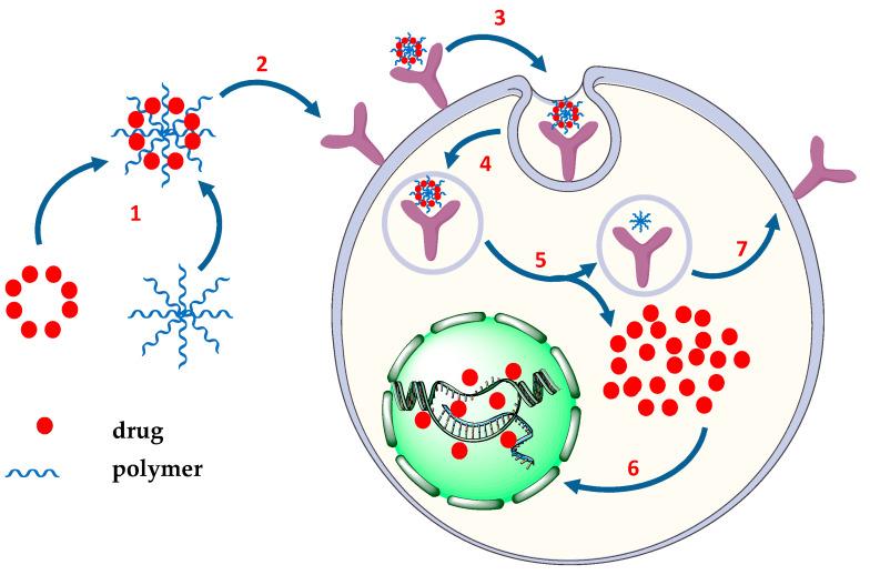 https://cdn.ncbi.nlm.nih.gov/pmc/blobs/638f/9505808/bd0261cf06cd/pharmaceutics-14-01773-g004.jpg