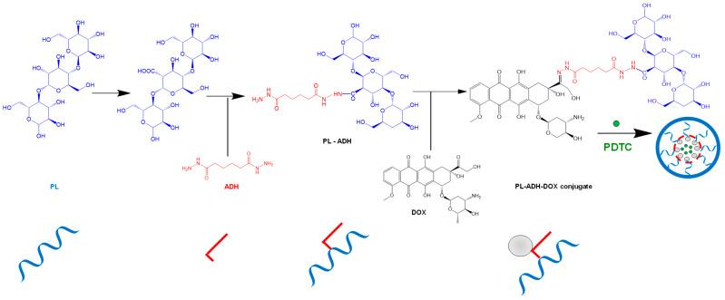 https://cdn.ncbi.nlm.nih.gov/pmc/blobs/638f/9505808/fbe1947e5f66/pharmaceutics-14-01773-g010.jpg