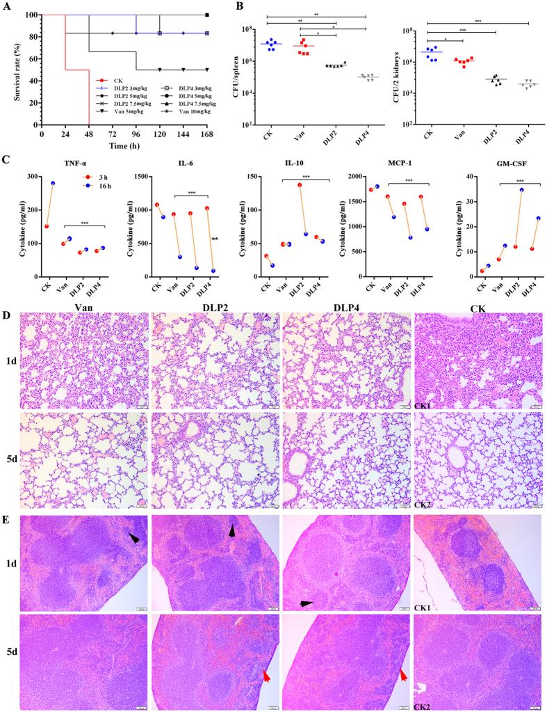 https://cdn.ncbi.nlm.nih.gov/pmc/blobs/6392/5608901/329e221dbc5e/41598_2017_10839_Fig7_HTML.jpg