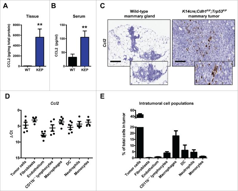 https://cdn.ncbi.nlm.nih.gov/pmc/blobs/6396/5593698/74d1538c5bdd/koni-06-08-1334744-g001.jpg