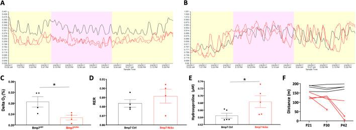 https://cdn.ncbi.nlm.nih.gov/pmc/blobs/6397/7888714/1af9697e9244/dmm-14-047738-g6.jpg