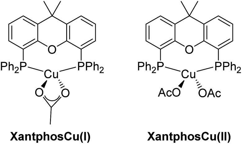 https://cdn.ncbi.nlm.nih.gov/pmc/blobs/6398/6354833/7c249f43041f/c8sc03767a-f1.jpg
