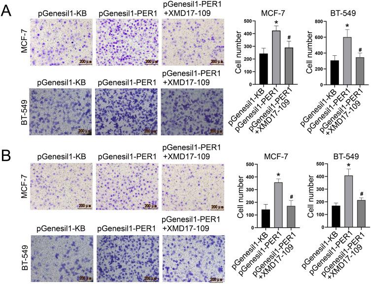 https://cdn.ncbi.nlm.nih.gov/pmc/blobs/6399/12348893/bef3fbf83dbd/IJGM-18-4337-g0006.jpg