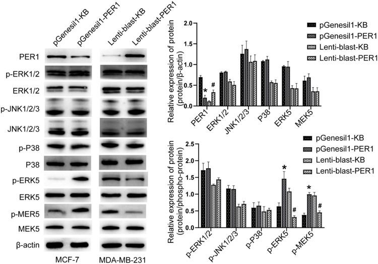 https://cdn.ncbi.nlm.nih.gov/pmc/blobs/6399/12348893/e20f6659e9bc/IJGM-18-4337-g0003.jpg