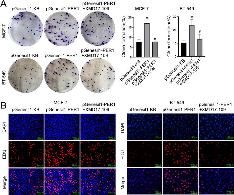 https://cdn.ncbi.nlm.nih.gov/pmc/blobs/6399/12348893/ecb11e2ea66e/IJGM-18-4337-g0005.jpg