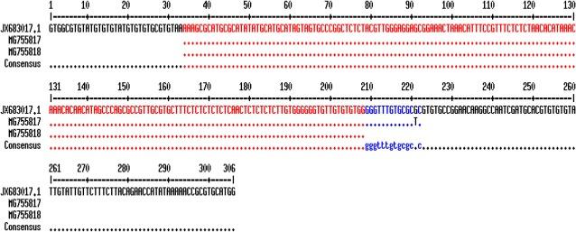 https://cdn.ncbi.nlm.nih.gov/pmc/blobs/6399/6974865/55cef29bf8d3/IJPH-48-2285-g004.jpg