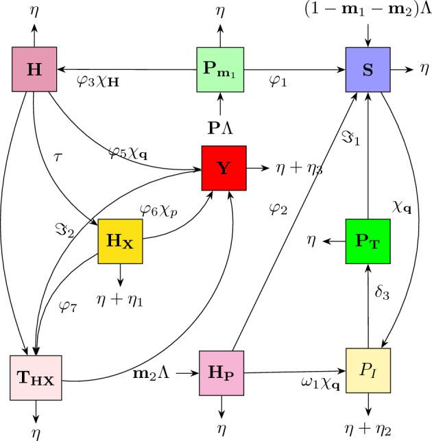 https://cdn.ncbi.nlm.nih.gov/pmc/blobs/639a/11266603/b0cd111c7bb3/41598_2024_65329_Fig1_HTML.jpg