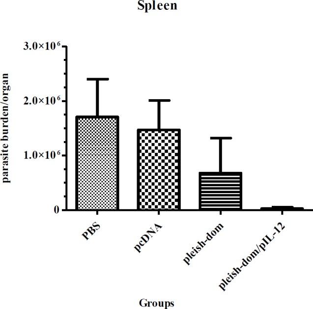 https://cdn.ncbi.nlm.nih.gov/pmc/blobs/639a/7043880/35241cd292b7/IJBMS-22-1493-g006.jpg