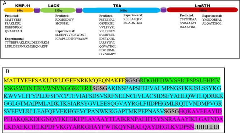 https://cdn.ncbi.nlm.nih.gov/pmc/blobs/639a/7043880/41829a8670fa/IJBMS-22-1493-g002.jpg