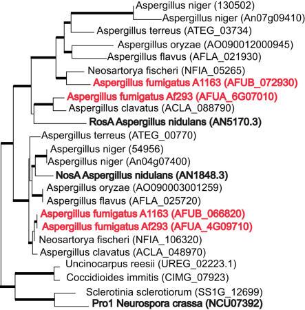 https://cdn.ncbi.nlm.nih.gov/pmc/blobs/639b/2289846/39bc57f900a3/pgen.1000046.g004.jpg