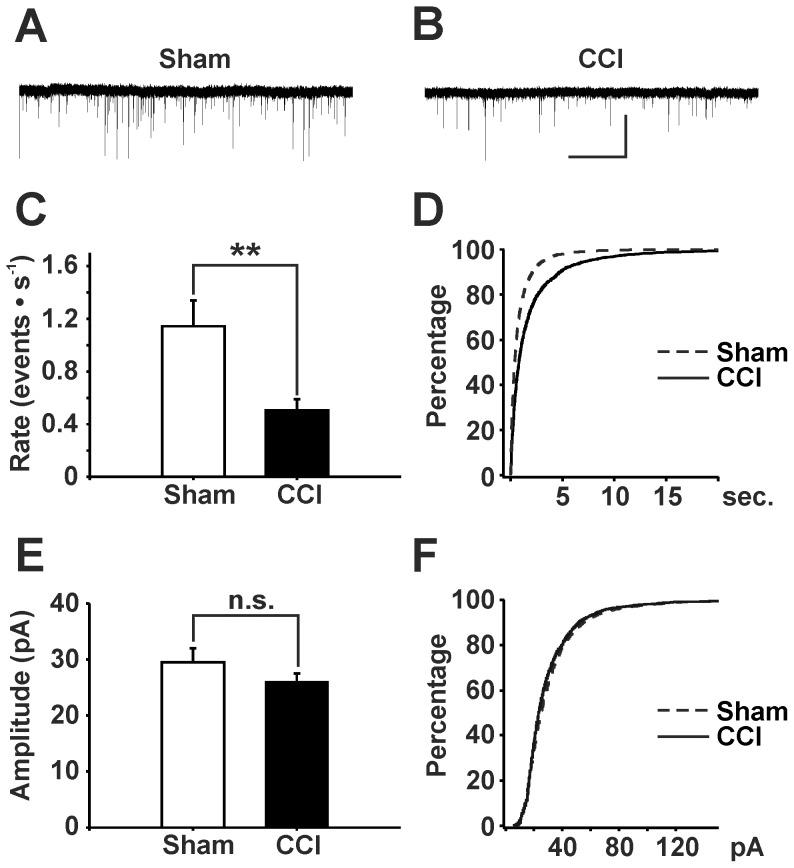 https://cdn.ncbi.nlm.nih.gov/pmc/blobs/639b/3751881/5ade9ee01ecf/pone.0073370.g003.jpg