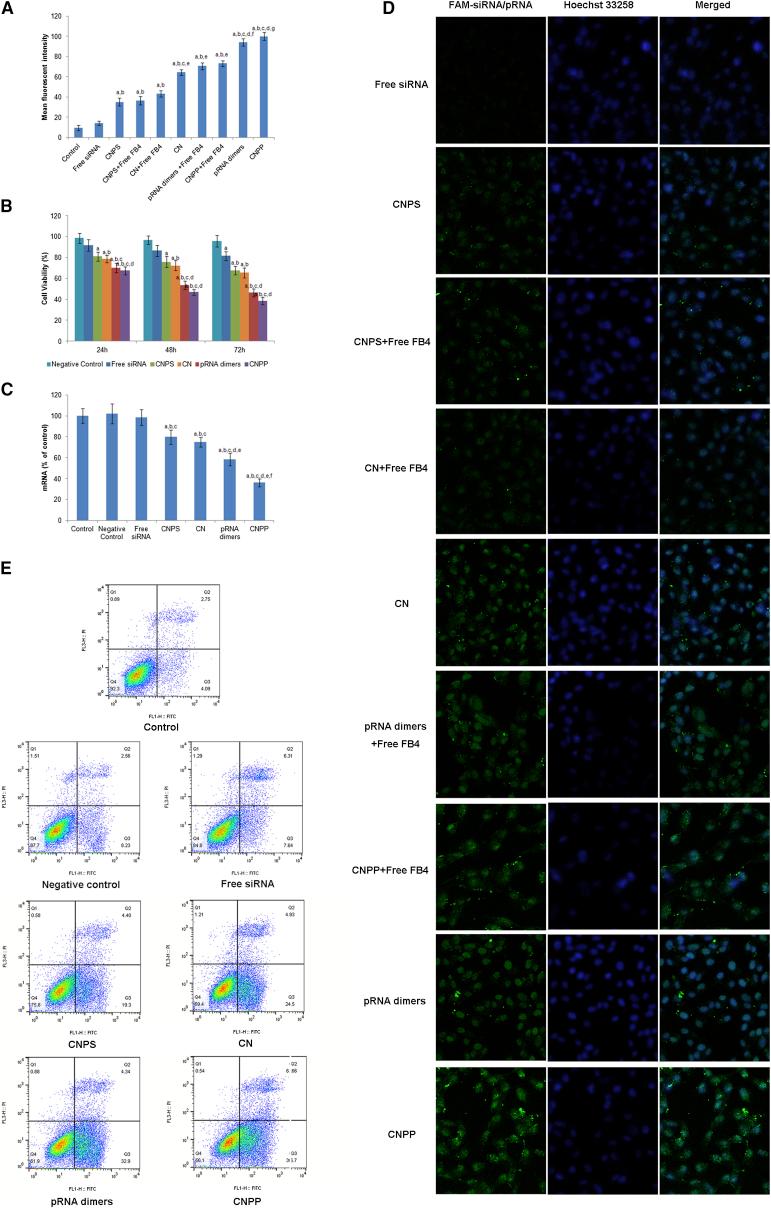 https://cdn.ncbi.nlm.nih.gov/pmc/blobs/639b/5503097/cc106e4d98ec/gr5.jpg