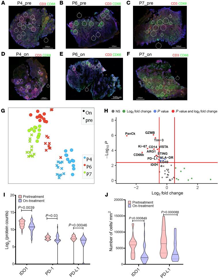 https://cdn.ncbi.nlm.nih.gov/pmc/blobs/639b/8592550/22003862c7ed/jci-131-142765-g002.jpg