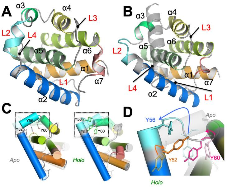 https://cdn.ncbi.nlm.nih.gov/pmc/blobs/639e/7564285/42dccdd16134/biomolecules-10-01308-g001.jpg