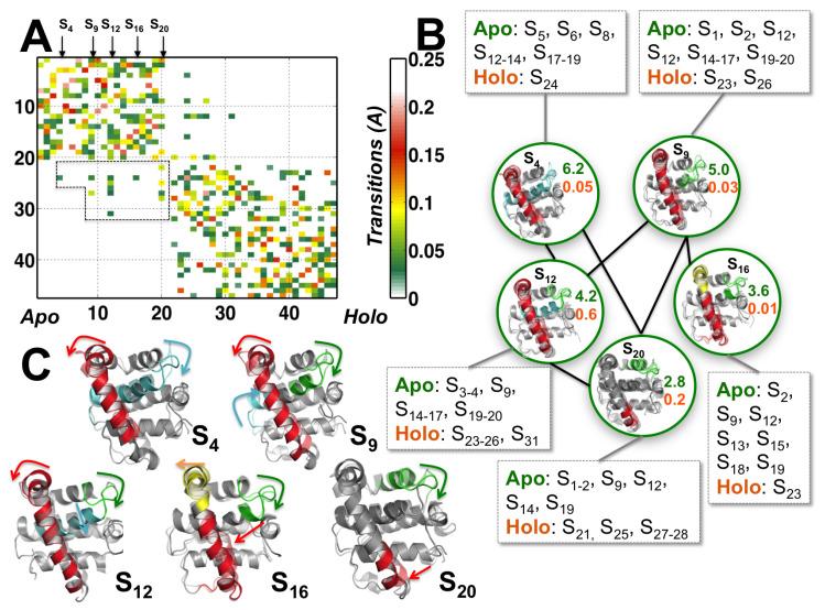 https://cdn.ncbi.nlm.nih.gov/pmc/blobs/639e/7564285/59c074534e9e/biomolecules-10-01308-g004.jpg