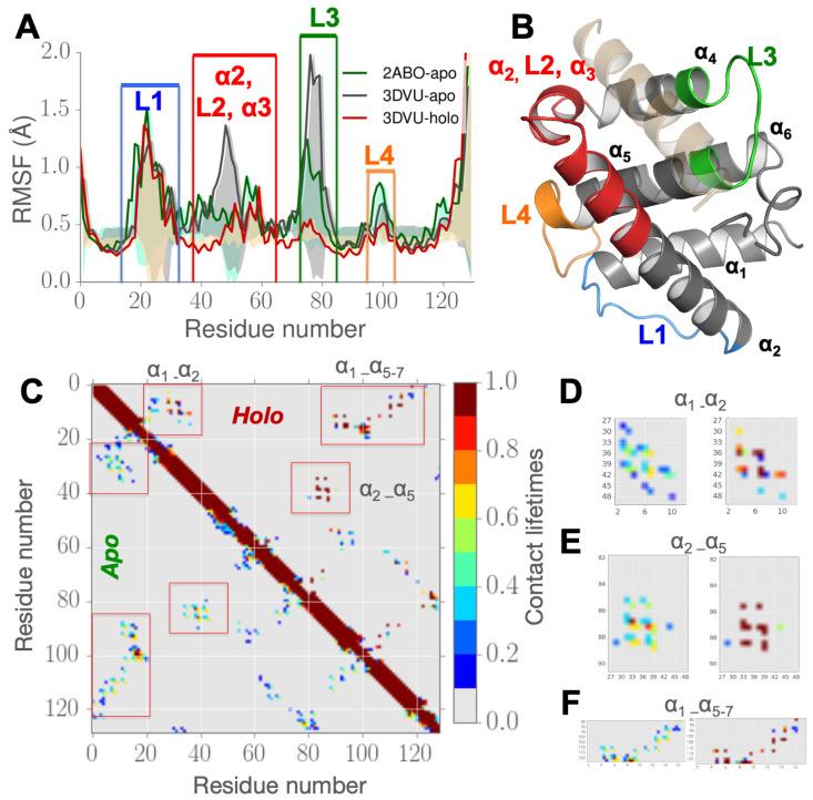 https://cdn.ncbi.nlm.nih.gov/pmc/blobs/639e/7564285/7e9d5778a945/biomolecules-10-01308-g002.jpg