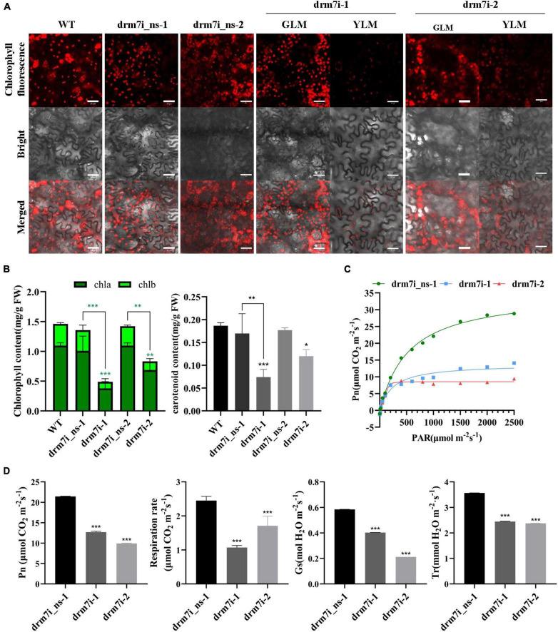 https://cdn.ncbi.nlm.nih.gov/pmc/blobs/639f/8860812/c2b0014d8e8f/fpls-13-836015-g002.jpg