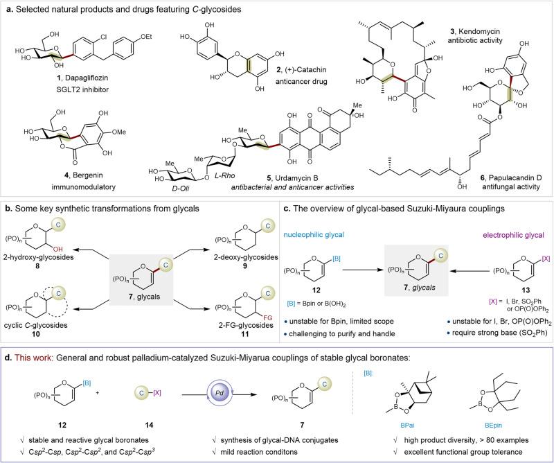 https://cdn.ncbi.nlm.nih.gov/pmc/blobs/63a3/11187158/40ddb82728e2/41467_2024_49547_Fig1_HTML.jpg