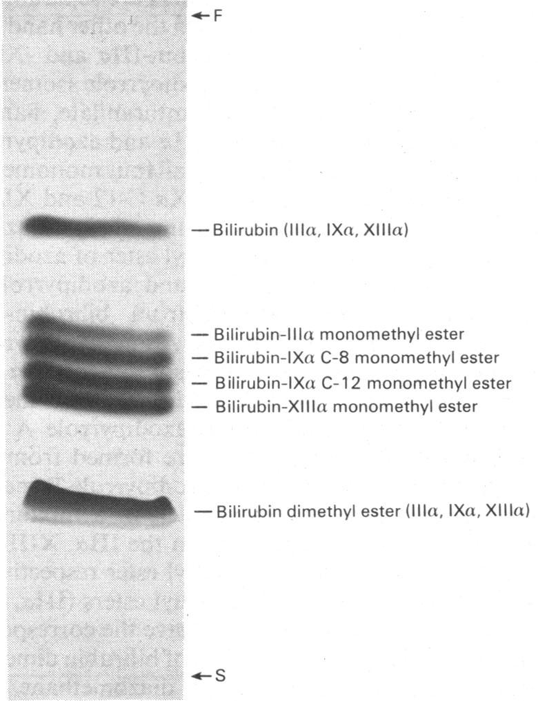 https://cdn.ncbi.nlm.nih.gov/pmc/blobs/63a4/1161276/2a721c904e06/biochemj00432-0118-a.jpg